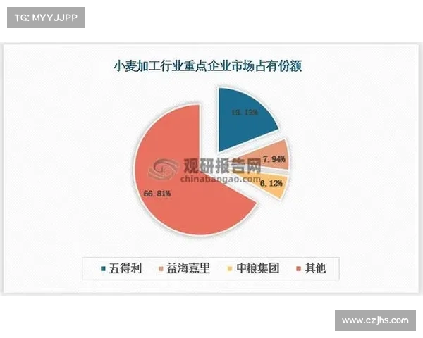 建业足球俱乐部的历史发展与社会影响力分析